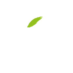 Grazider - Apple Cider aus Graz